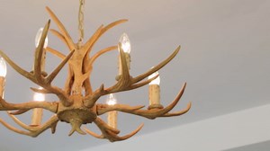 Oil Press Machine, 110V Electric Automatic Oil Press Extractor Organic Oil Expeller, 750W Household Commercial Automatic Oil Press Machine