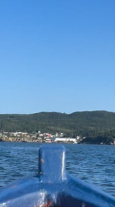 Ronald Macdonald on Reels