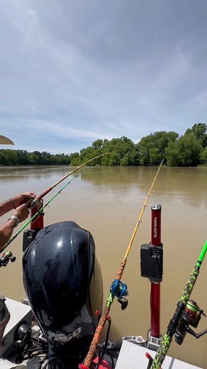 Hoeing off into a 7 ft River Monster💪. #rivermonsters #alligatorgar #trinityriver #jurrasicpark | Chris Gammill