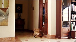 حماتها حطتلها اسد قدام باب شقتها 😯 شوف عملت ايه #رمضان_الخير #MonthOfGood | MGR Production & Distribution