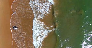 Video by Naveen G on Pexels