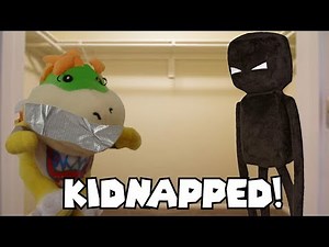 Crazy Mario Bros: Kidnapped!