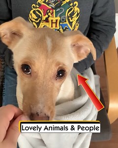 99K views · 2.6K reactions | Lovely Animals & People | Michael Eckert | Facebook