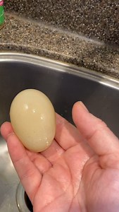 3.3K views · 21K reactions | Raising your own chickens brings so many...