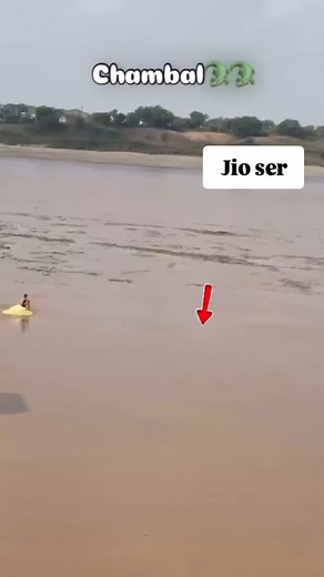 Chambal ke balak #instagram #reels #viral #interiordesign #cristianoronaldo #viratkohli #royal #salmankhan | Harendra Kirar