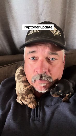 Adorable Dachshund Puppies Update!