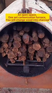 Factory Direct Sale Biochar Charcoal Retort Kiln Palm Kernel Shells Carbonization Furnace