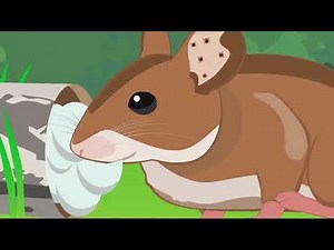 Thermacell 12-piece Tick Control Tubes on QVC