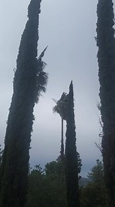 Alison Arngrim on Reels