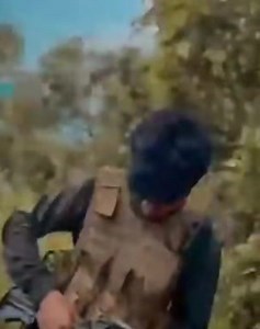 Cookies | Manipuri By Blood