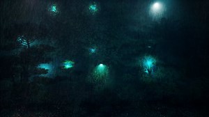 Snowfall, Forest, Trees