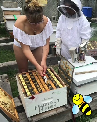 Would you bee keep in a bikini? #beekeeper #beekeeping #beekeepinginabikini #beegirl https://youtube.com/c/BeesBikinis