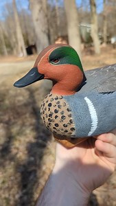 1.4K views · 290 reactions | Drake greenwing teal. Cork. Tupelo. Acrylics. Sold. #waterfowl #wildfowl #greenwing #teal #handcarved #handpainted #hunter #artist #ducksunlimited #deltawaterfowl | Costilow Decoys | Facebook