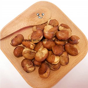 [Hot Item] High Nutrition Sea Salt Flavor Broad Bean/Fava Beans Roasted Welcome OEM Customized Packing