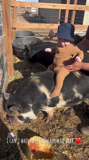 Maria Garza on TikTok