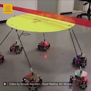 25K views · 287 reactions | This research project by Obed Medina,...