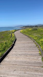 2.6K views · 102 reactions | Moonstone Beach Boardwalk is a scenic pathway that travels next to the beach in Cambria  | California Wanderland | Facebook