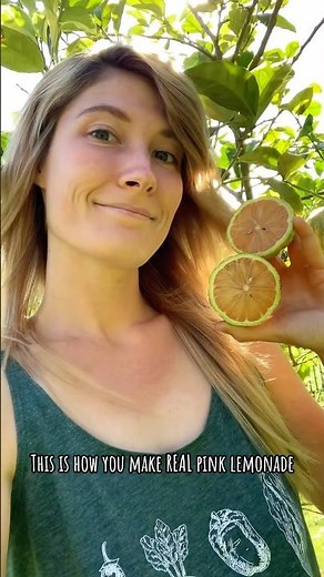 How to make pink lemonade from real pink lemons. 🍋 #Garden #UrbanGardening #OrganicGardening