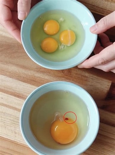 Filaments blancs et taches rouges dans l'œuf : qu'est-ce que c'est et devriez-vous vous en inquiéter ? Peut-on manger ces œufs ? 🤔 Détails dans les commentaires. ⬇️⬇️⬇️ | SUD ONE