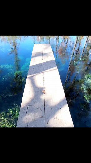 The perfect swimming and fishing hole 💙 | Florida Panhandle Springs and Fossils