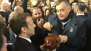 La poule d'Emmanuel Macron a rejoint Nemo à l'Élysée