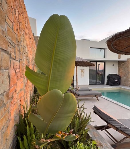 Victor Slav on Reels