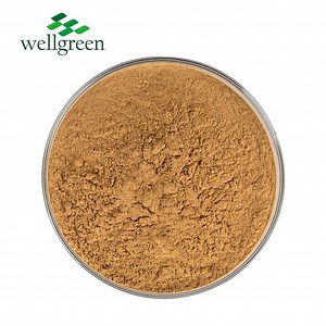 [Hot Item] Pure Natural Agaricus Blazei Murill Extract Polysaccharides Agaricus Blazei Extract