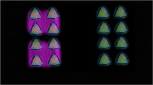 Pour vous faire réfléchir sur la multiplication