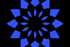 EnlightenMint Charitable NFT Marketplace