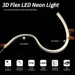 [Hot Item] 3D Type Flexible LED Neon Light Silicon Neon Tube Rope Lamp Strip