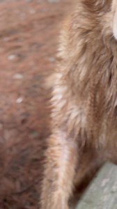 The friendly Farmily | Our Farmacy