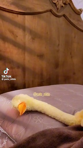 🤣 | Correio de Jesus