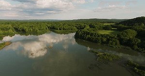 Marshes On Nature Park Lake Sequoyah: стоковое видео (без лицензионных платежей), 1106603093 | Shutterstock