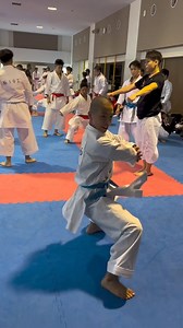 #karate | Karate Techniques