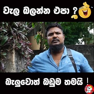 🤣🤣🤣 #Follow_Me 🌼🌻🌺 #Pando | ＰＡＮＤＯ