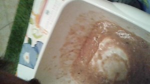 puking from stomach flu