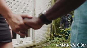 MARISKAX Mariska offered to a BBC by her husband