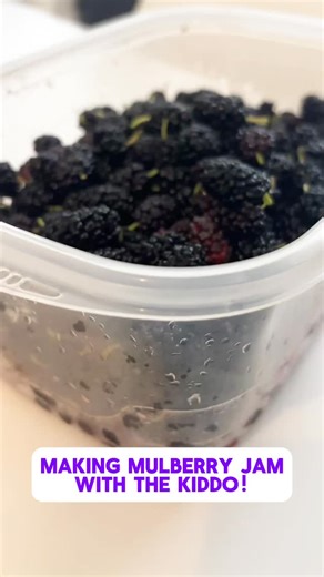 💜 We made mulberry jam with berries from our backyard! This is freezer jam, so no hot water bath needed. We’ll put one in the fridge and the other two will go in the freezer for later. | Glue & Glitter - Simple Vegan Recipes