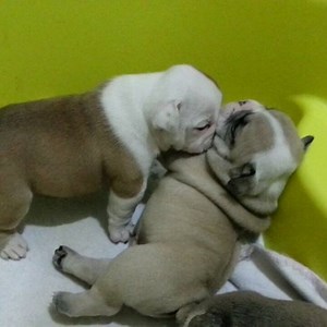 When you become tired and just wanna sleep and cuddle someone #jmarcoz #sundaymood | jmarcoz