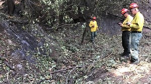Long-anticipated Carr Fire report brings memories of destruction