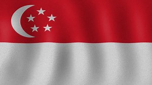 Bendera, Singapura, Simbol
