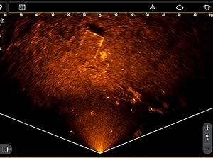 Brandon Card on Reels