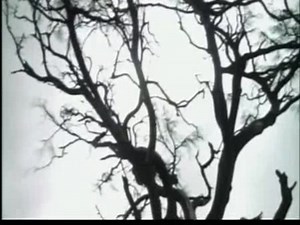 BEATLES - Strawberry Fields Forever