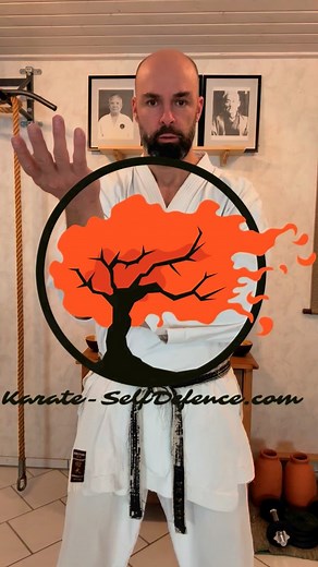 In this reel, I apply sequences of Tora Guchi to block a headbutt attack from the body position as a listener. In this way, my hands are already up. Depending on your size, it’s perhaps good to additionally lean backwards. Never forget to keep some distance, when an argument occurs. This isn’t block-and-pose Karate. It’s about structure, timing, and intent. Tora Guchi is more than defense – it’s a setup for control and counter. Train it. Feel it. Apply it. #practicalkarate #gojuryu #iogkf #karat