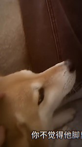 38K views · 3K reactions | Lý Gia Hoa ❤️ Lại Giai Tân Li Jiahua & Lai Jiaxin || real couple #lgbt #bl #boylove #gay #couple | thich úp lung tung | Facebook