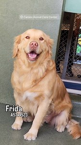 10K views · 1K reactions |  Returned to Owner  ✳️ ✳️ #A5744523...