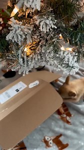 2.2K views · 3K reactions |  This Holiday Season, get FREE extra toys for a whole YEAR ($120 value!) + FREE shipping! Your monthly Woof Pack includes: • 2 fun and unique themed toys • 2 bags of all-natural treats • A surprise theme every month, tailored to your dog ✅ Loved by over 1 million happy pups since 2017 - yours will thank you too!  | Woof Pack | Facebook