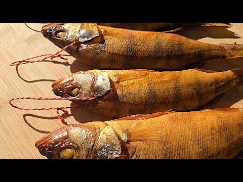 Excellent hot smoked perch recipe!