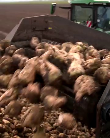 14K views · 708 reactions | Healthy soil is the foundation of growing any crop. We're celebrating #WorldSoilDay with our soil specialist tractor - the 8RX.    #JohnDeere8RX #8RX | John Deere | Facebook