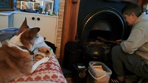 26 reactions | Now dat I wrestling I toy back from Sweary WOLFMANDOG can focus on supervision a fire lighting. Marnie still doo it wrong, butter her showing signs a improvement.  | Mr Scooby Doo and The Mousketeers | Facebook